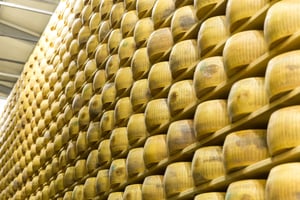 parmigiano-cheese-factory-with-aging-cheese